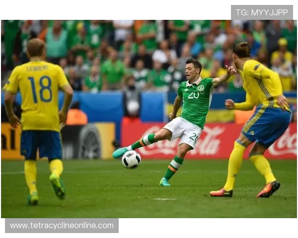 V站体育电脑版下载安装指南帮助玩家轻松畅享高清赛事直播体验 V站体育电脑版下载安装指南帮助玩家轻松畅享高清赛事直播体验