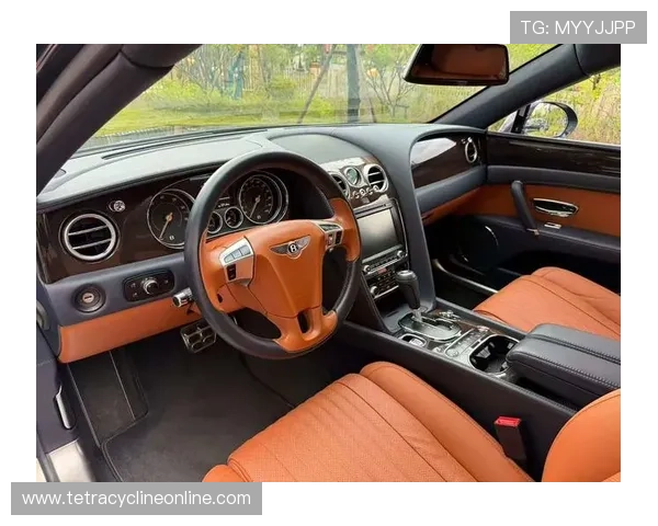 飞驰官方旗舰店：定制专属豪华内饰，彰显您的独特品味与身份象征