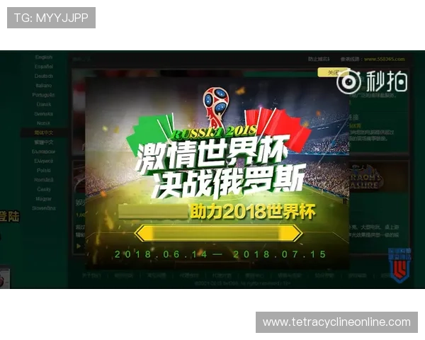 世界杯期间新西兰对比利时比赛网络赌球风险防控指南与安全建议 世界杯期间新西兰对比利时比赛网络赌球风险防控指南与安全建议
